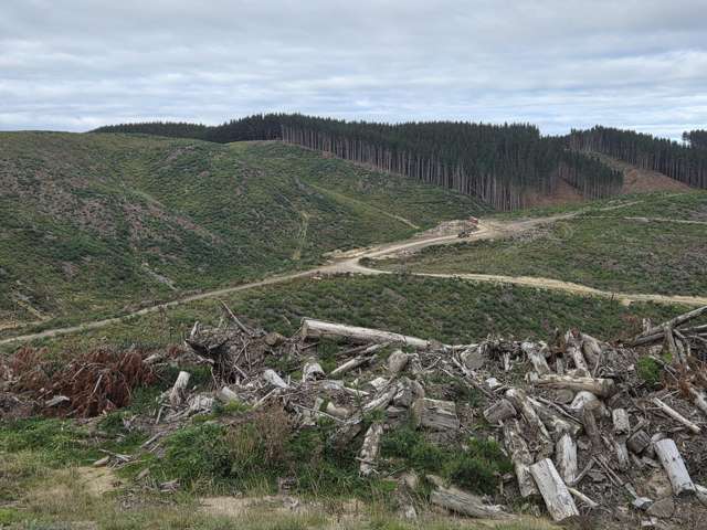Broad Gully Road Ikawai_2