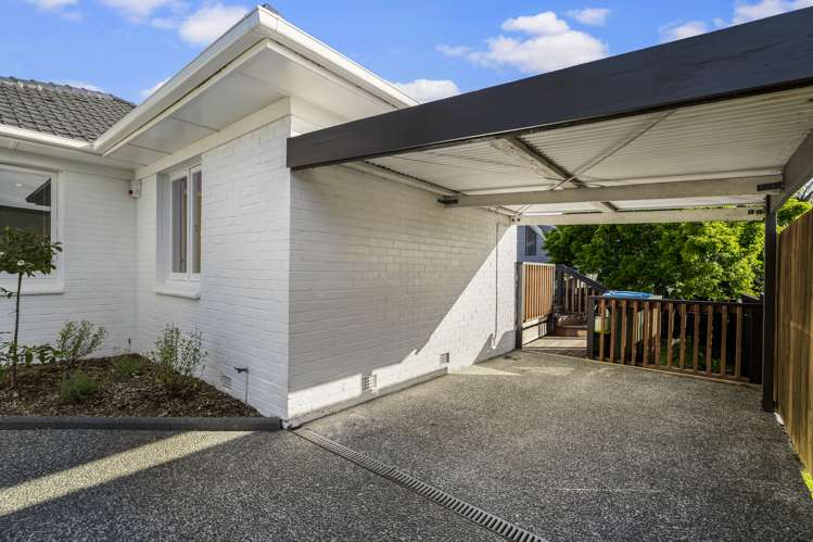 30 Saxon Street Waterview_20