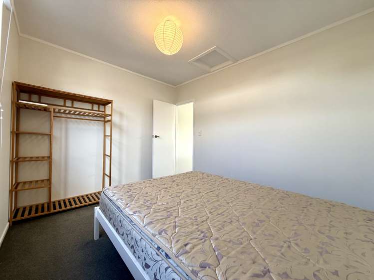 34A John Street Raglan_19