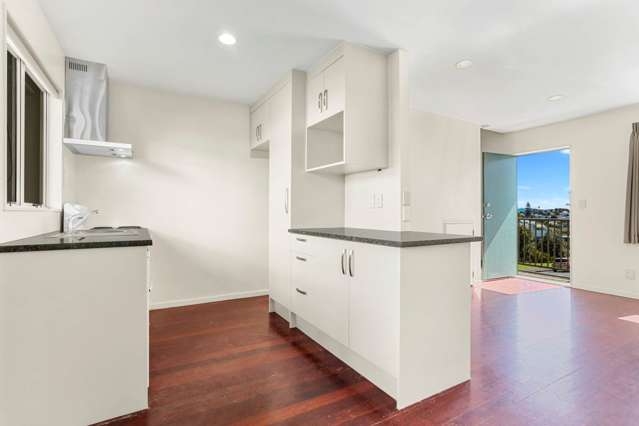 2d Diamond Street Eden Terrace_4