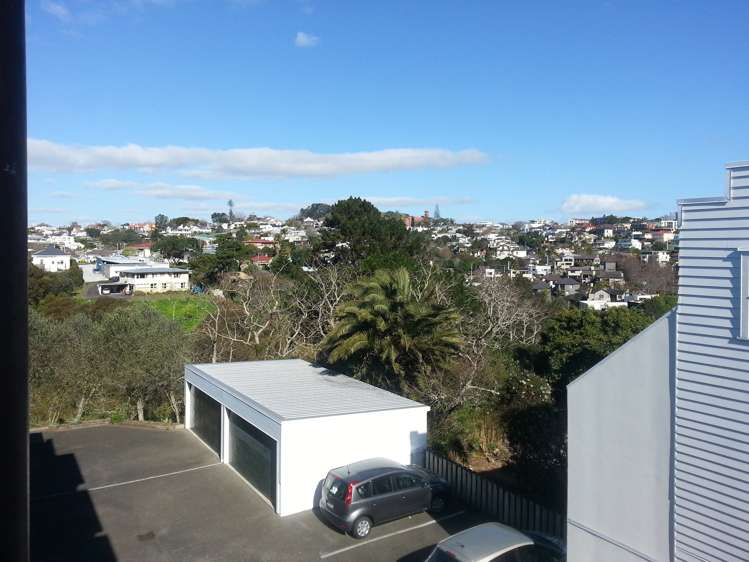 3j Laxon Terrace Remuera_6
