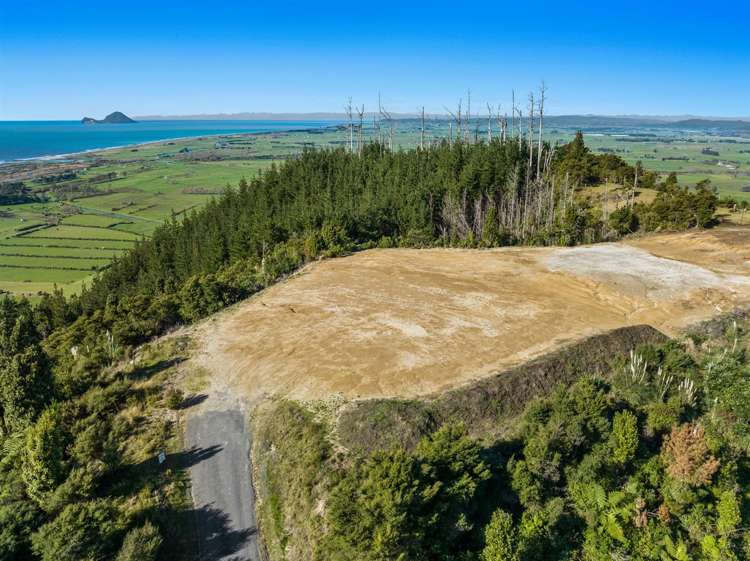 201 Kokako Heights Matata_5