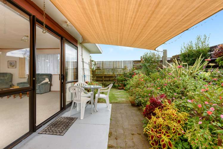 72b Otumoetai Road Judea_10