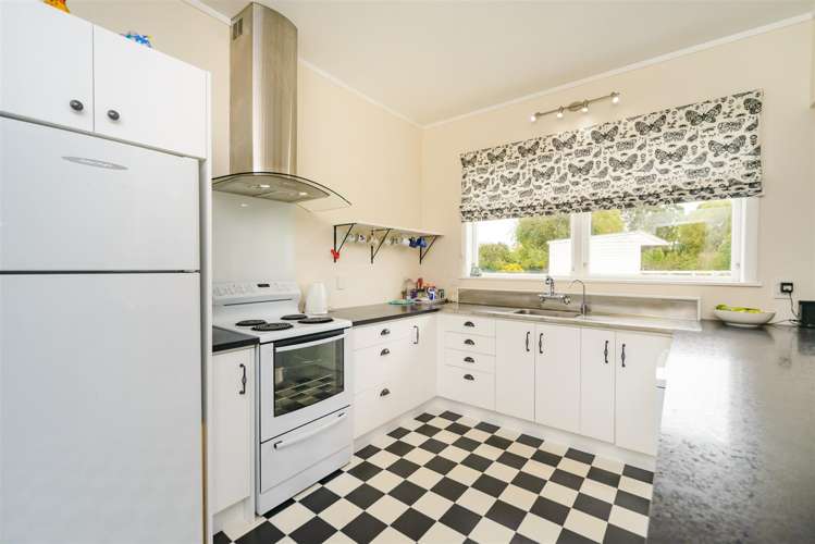 60 Johnson Street Bulls_6