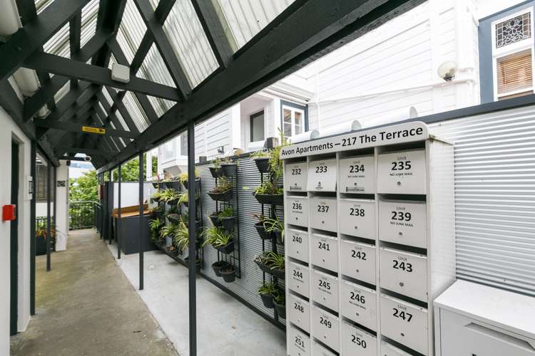 22/217 The Terrace Wellington Central_12