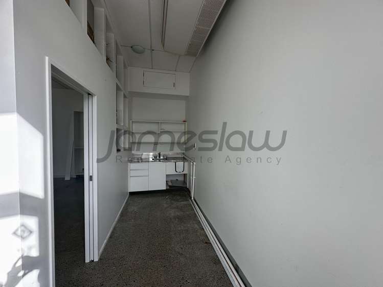 483 Richmond Road Grey Lynn_6