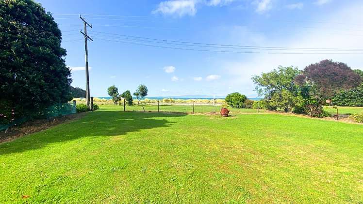 15 Seddon Street_2