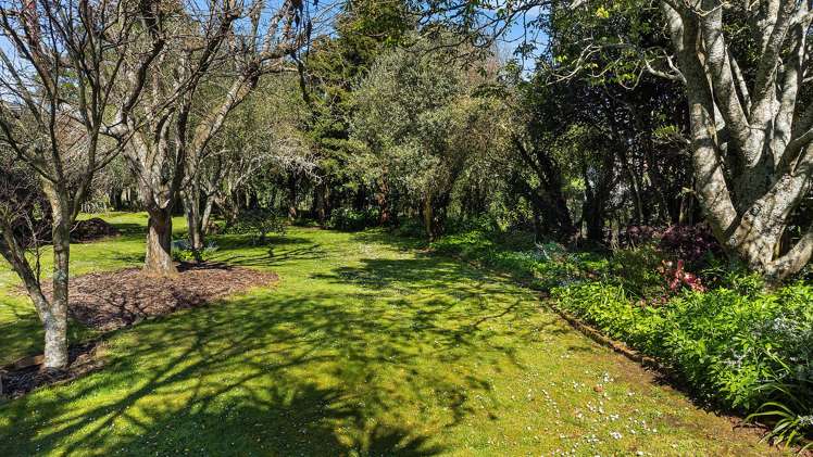 43A Grayden Road Morrinsville_25
