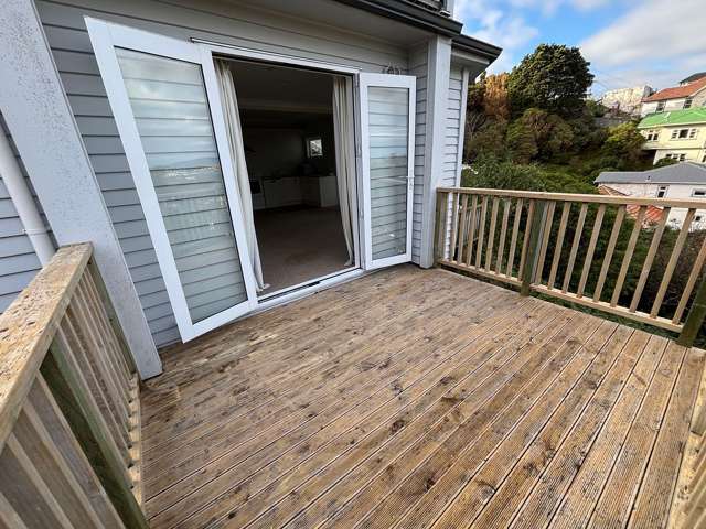 111A Rakau Road Hataitai_2