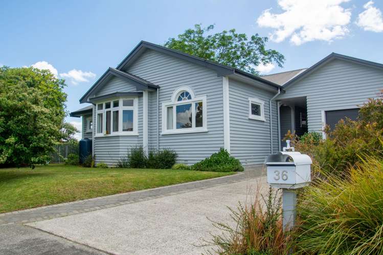36 Park Street Morrinsville_28
