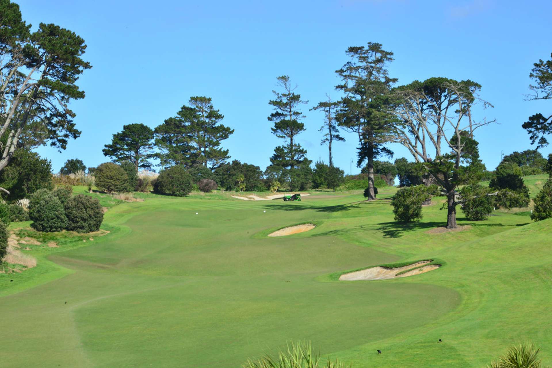 8 Parkview Drive Gulf Harbour_0