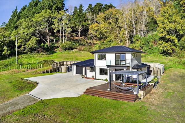 89 Endcliffe Road Kaiti_4