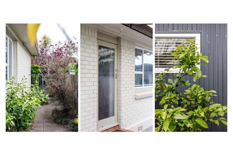 124 Harbour Road Ohope_15