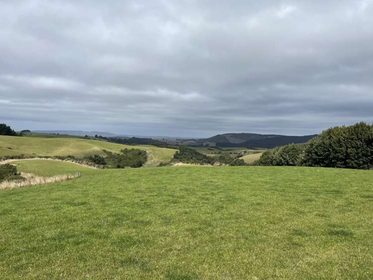 Manuka Gorge Highway Waitahuna_6