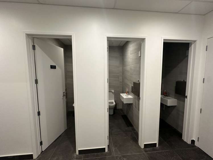 4-8 Rose Road Ponsonby_6