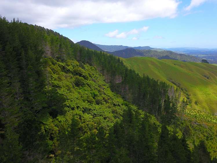 Lot 0 Te Rore Road Kaitaia_9