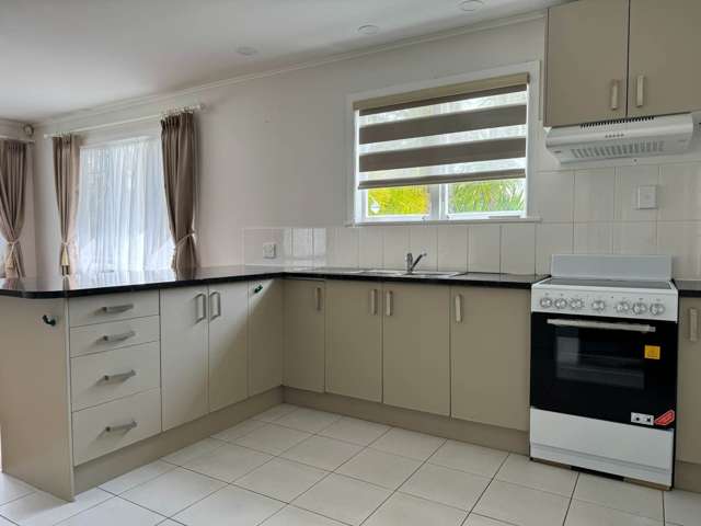 94 Webster Avenue Mt Roskill_3