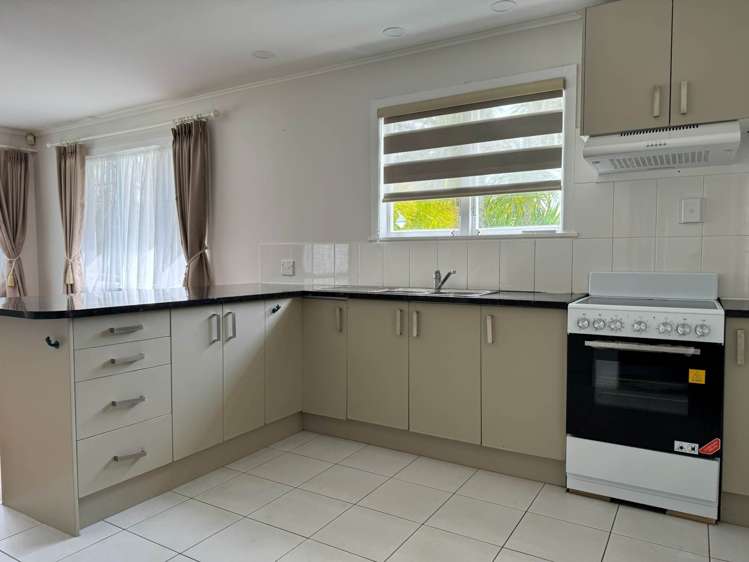 94 Webster Avenue Mt Roskill_3