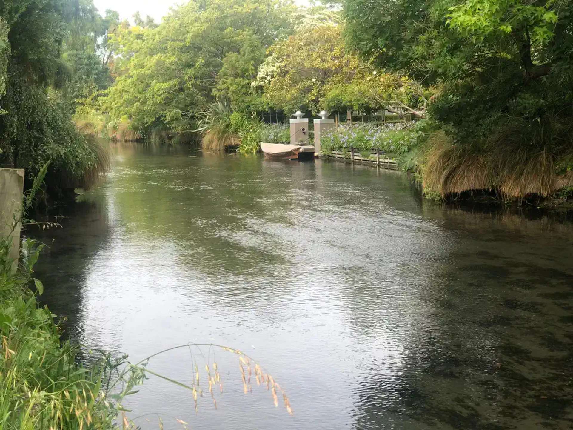 8 Clifford Avenue Fendalton_0