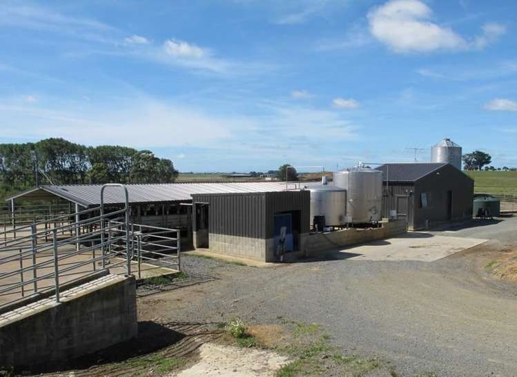 2/795 Tuhikaramea Road Ngahinapouri_7