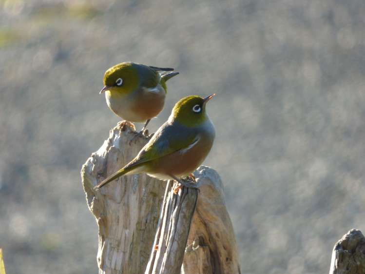 3 Bay Road Riverton_21