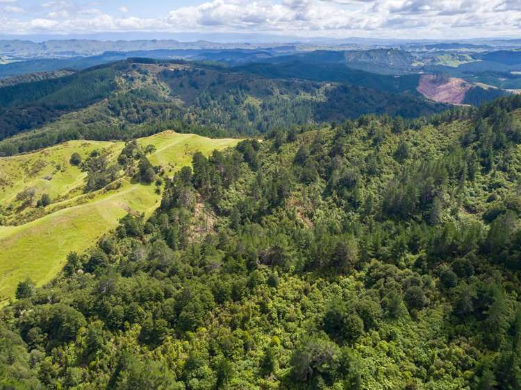 939 Kaiwhata Road Te Wharau_13