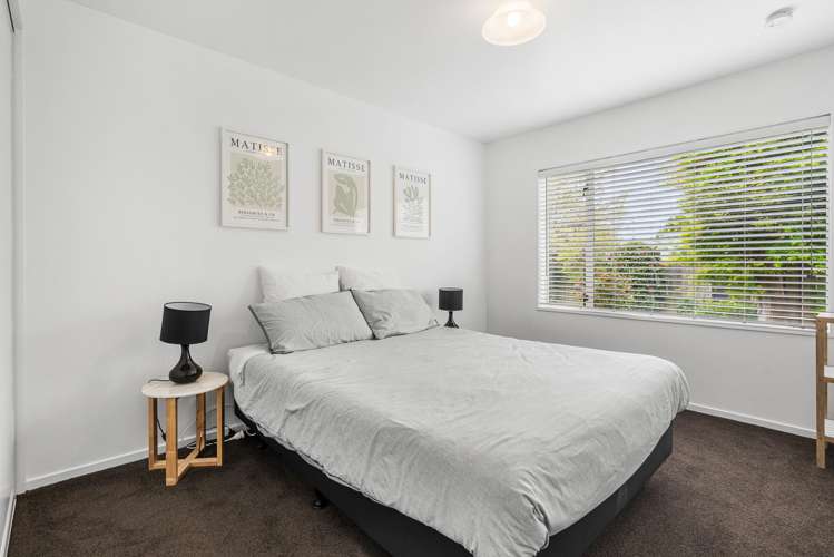 12 McLeish Lane Spreydon_23