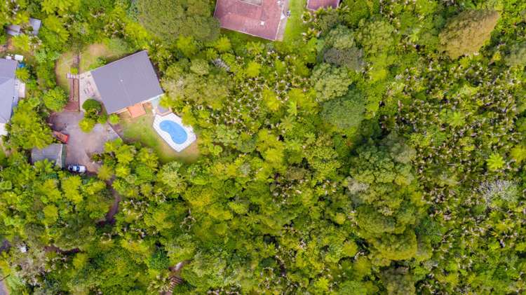 69 Waima Crescent Titirangi_18