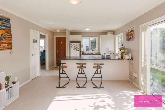 431d Ferguson Street Palmerston North Central_2