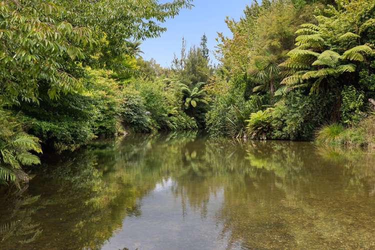 417 Mclaren Falls Road Kaimai_37