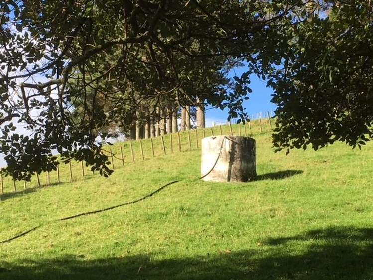 1415 Oparure Road Pomarangai_24