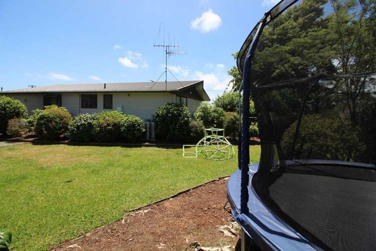 15 Wilson Street Bulls_48