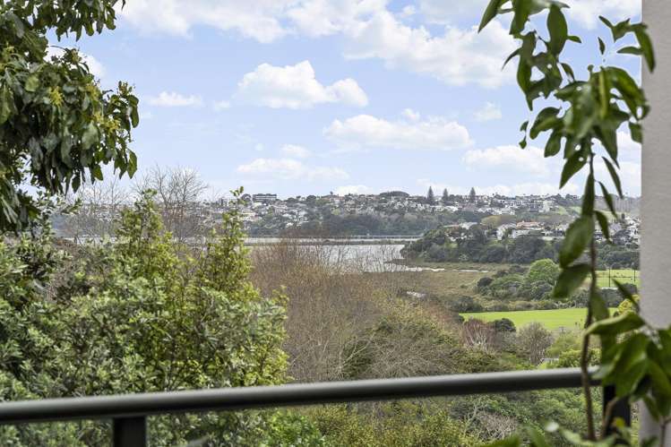 3A Laxon Terrace Remuera_16