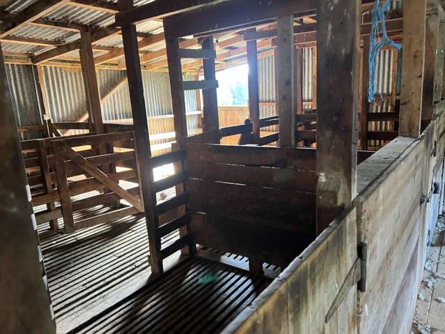 463 Waihi Valley Rd Dannevirke_4