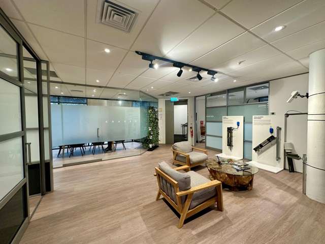 5 Wilkins Street Freemans Bay_2