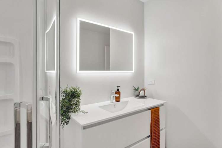 227a Tukapa Street Westown_12