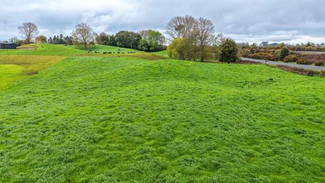 Pine Road Putaruru_2