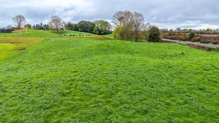 Pine Road Putaruru_2