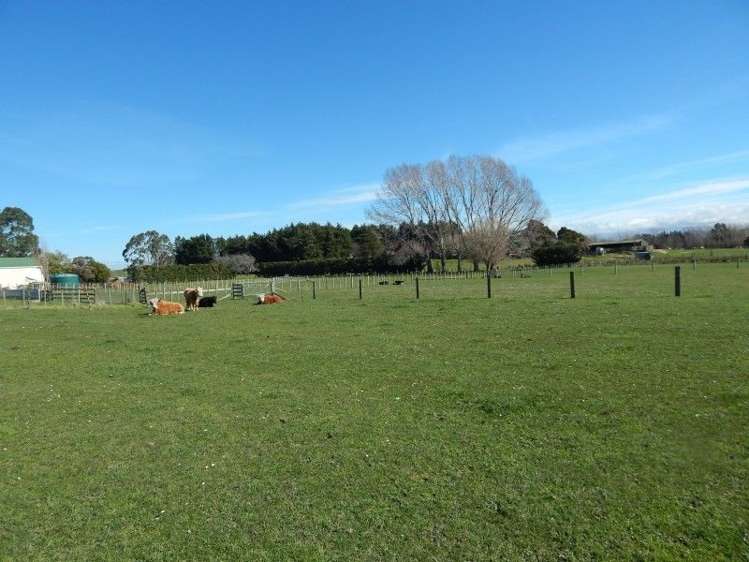 143 Riversdale Road Carterton_4