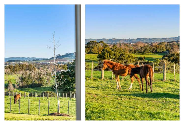 129 Pukekohe East Road Pukekohe East_49