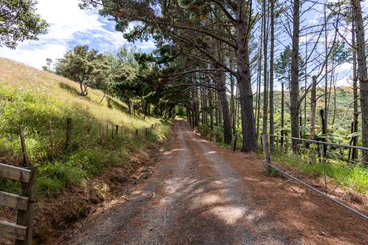 38B Pipitiwai Drive Helensville_27