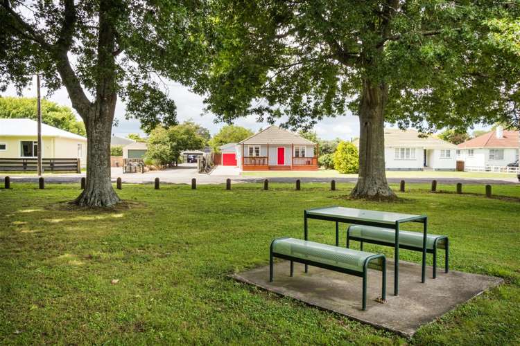 9 Bull Street Bulls_5