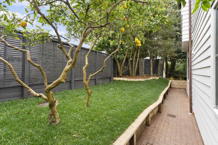 3A Laxon Terrace Remuera_27