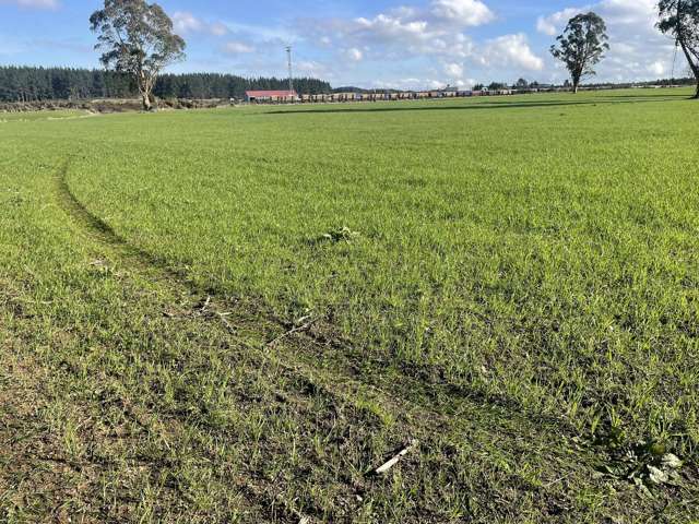 State Highway 1 Kinleith_3