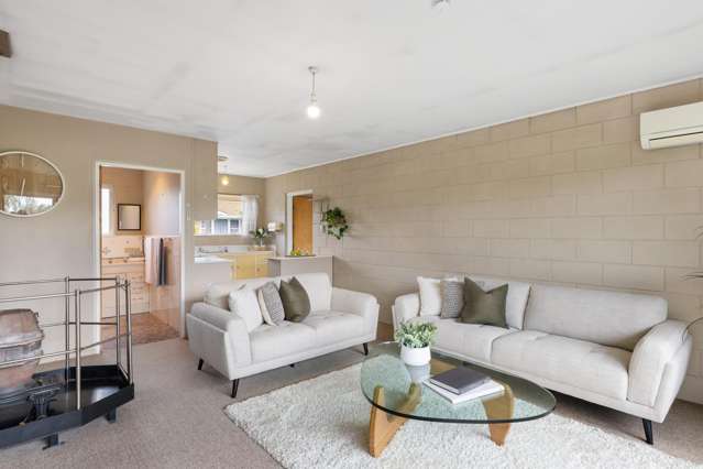 381a Ellesmere Junction Road Springston_2