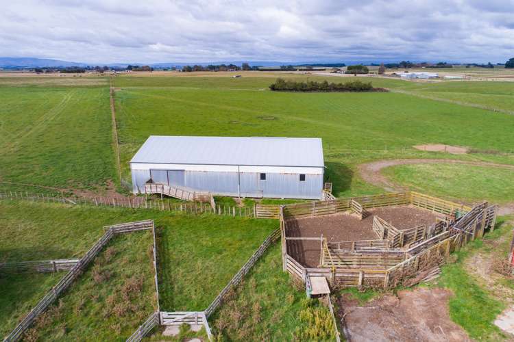 63b Sligo Terrace Roslyn_5