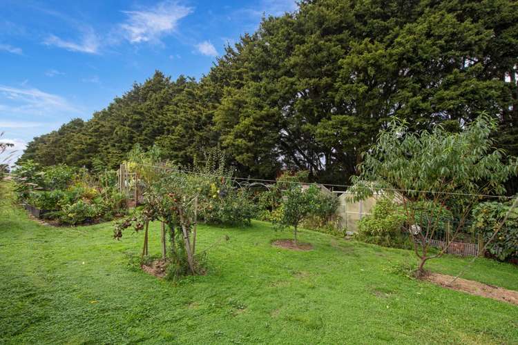 8 Roydon Drive Ruatangata_17
