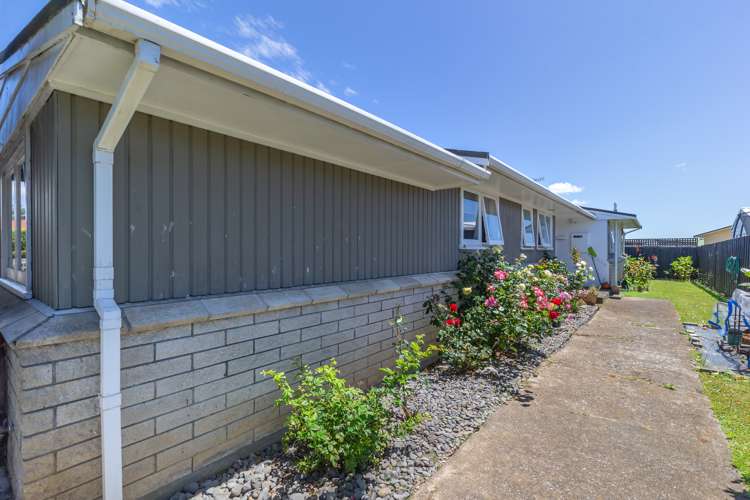 173 Tiro Tiro Road Levin_12