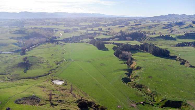 30 Mangahei Road Dannevirke_13
