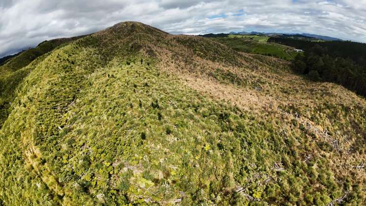 Lot 23 Waiotehue Road_3